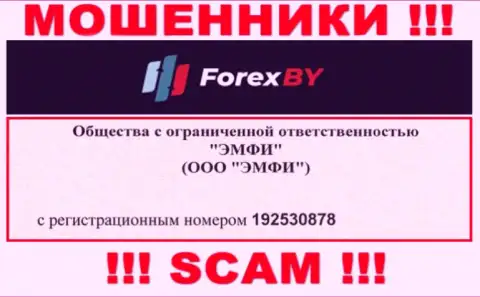 На web-портале махинаторов Forex BY расположен этот регистрационный номер указанной компании: 192530878