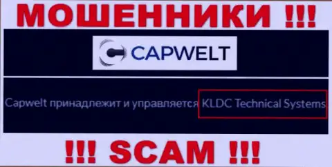 Юридическое лицо компании CapWelt - это KLDC Technical Systems, информация взята с официального сайта