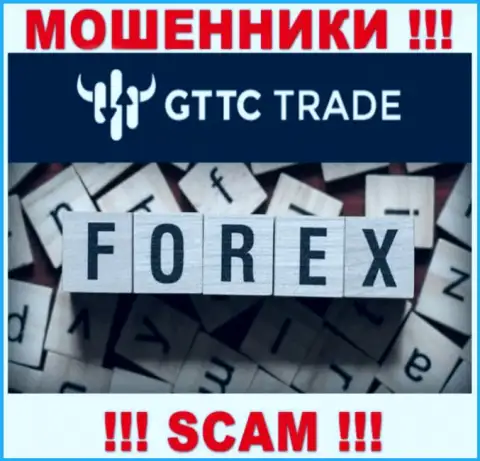 GT TC Trade - это мошенники, их деятельность - ФОРЕКС, нацелена на прикарманивание вложенных денег людей