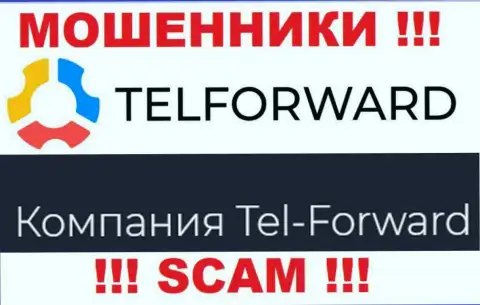 Юридическое лицо TelForward - это Tel-Forward, именно такую инфу представили шулера у себя на ресурсе