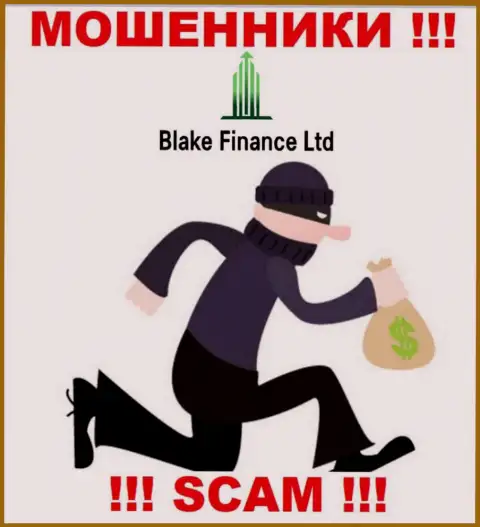Вложенные денежные средства с компанией Blake-Finance Com Вы не приумножите - это ловушка, куда Вас хотят поймать