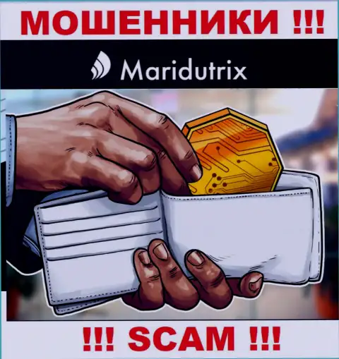 Крипто кошелек - в данной области работают ушлые internet-воры Maridutrix