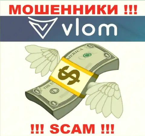 Лохотрон Vlom Ltd промышляет лишь на прием финансовых вложений, с ними Вы абсолютно ничего не сможете заработать