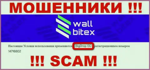 WallBitex Com - это ВОРЫ ! Руководит данным лохотроном BigDrop OÜ