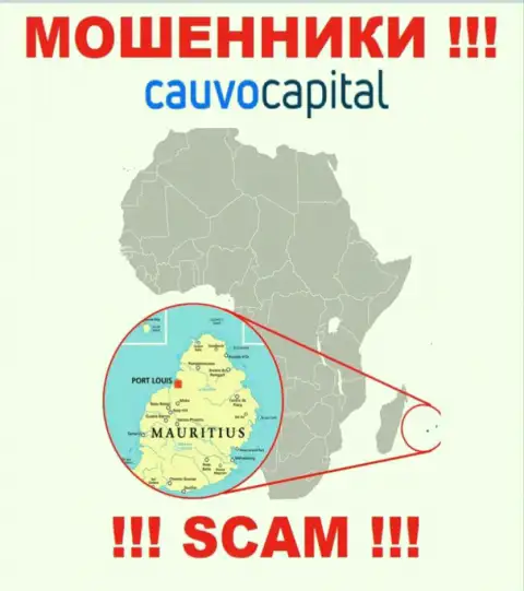 Компания CauvoCapital сливает денежные активы лохов, расположившись в офшоре - Mauritius