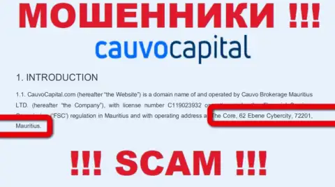 Невозможно забрать обратно депозиты у Cauvo Capital - они спрятались в оффшорной зоне по адресу - The Core, 62 Ebene Cybercity, 72201, Mauritius