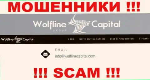 МОШЕННИКИ Wolfline Capital показали у себя на интернет-ресурсе е-мейл организации - писать весьма рискованно