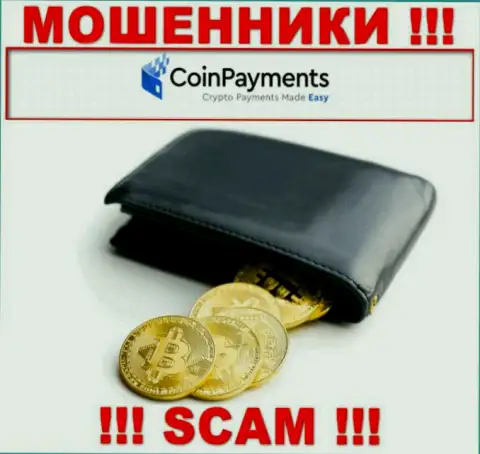 Будьте очень бдительны, вид деятельности Coin Payments, Криптовалютный кошелек - это обман !