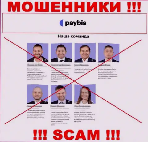 Руководители PayBis Com, предоставленные указанной организацией лживые - это ЖУЛИКИ