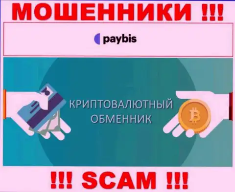 Крипто обменник - это сфера деятельности преступно действующей организации PayBis