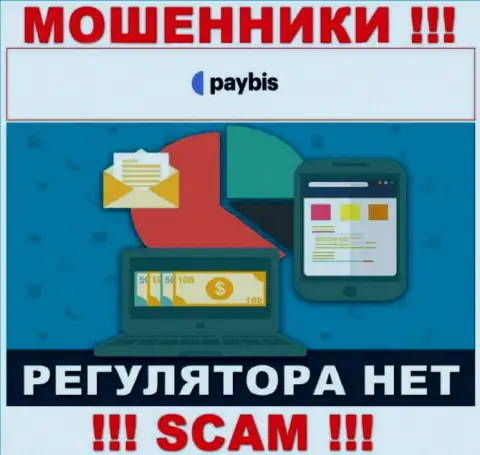 У PayBis на сервисе не имеется инфы о регулирующем органе и лицензии организации, а следовательно их вовсе нет