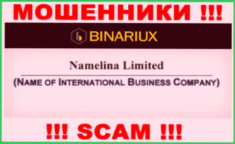 Namelina Limited - это internet-мошенники, а руководит ими Namelina Limited