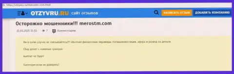 Обзор мошеннических действий scam-проекта Meros TM - это ЖУЛИКИ !!!