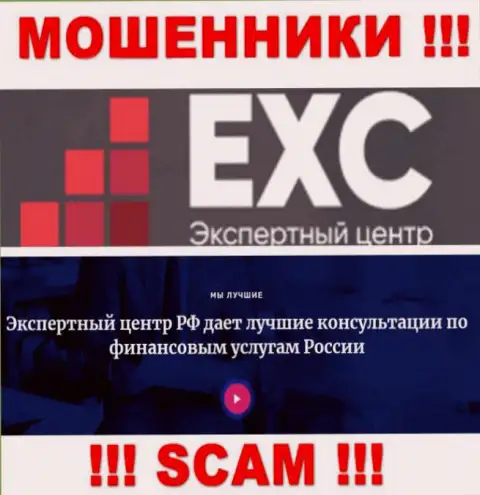 Экспертный Центр России заняты обворовыванием наивных клиентов, а Консалтинг только лишь прикрытие