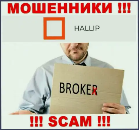Вид деятельности мошенников Hallip Com - это Broker, однако помните это кидалово !