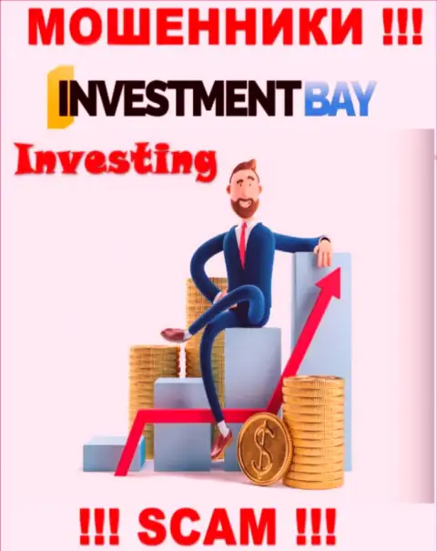 Не стоит верить, что сфера деятельности Investment Bay - Инвестиции легальна - это кидалово