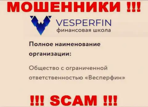 Информация про юридическое лицо интернет кидал ВесперФин - ООО Весперфин, не обезопасит вас от их загребущих рук