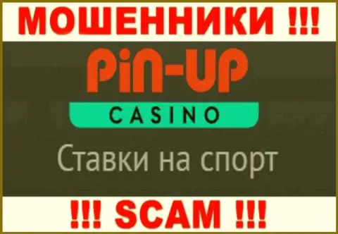 Основная работа Pin-Up Casino - это Казино, будьте крайне осторожны, работают неправомерно