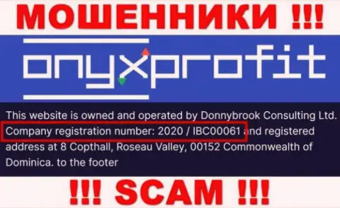 Регистрационный номер, который принадлежит конторе Onyx Profit - 2020 / IBC00061