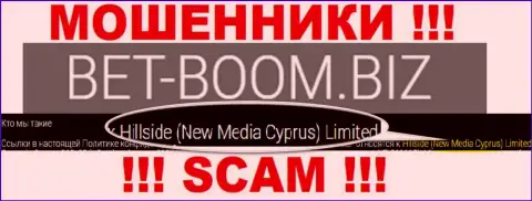Юр лицом, управляющим интернет мошенниками Bet Boom Biz, является Hillside (New Media Cyprus) Limited