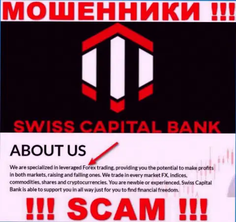 FOREX - в этом направлении предоставляют услуги мошенники Swiss Capital Bank