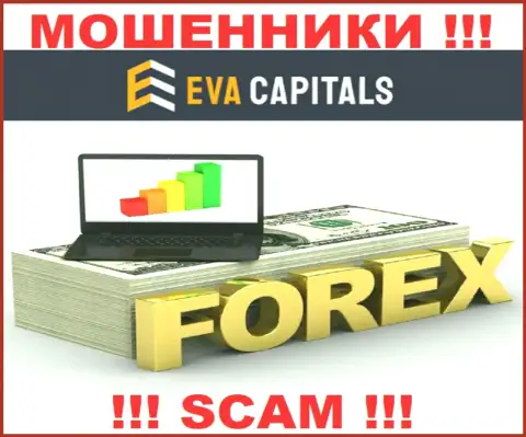 Forex - это конкретно то, чем промышляют мошенники Eva Capitals