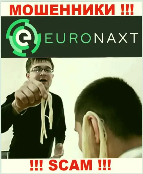 Euronaxt LTD делают попытки развести на взаимодействие ??? Осторожнее, надувают