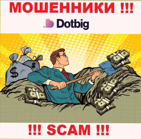 DotBig действует лишь на сбор денег, именно поэтому не стоит вестись на дополнительные финансовые вложения