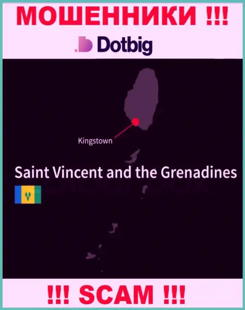 Dot Big имеют офшорную регистрацию: Kingstown, St. Vincent and the Grenadines - будьте очень осторожны, аферисты