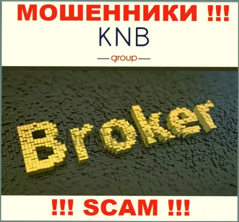 Область деятельности противозаконно действующей организации KNB Group - это Брокер