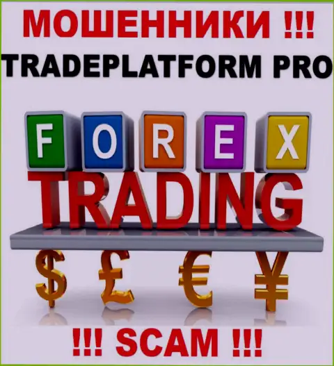 Не стоит верить, что деятельность TradePlatformPro в области FOREX законна