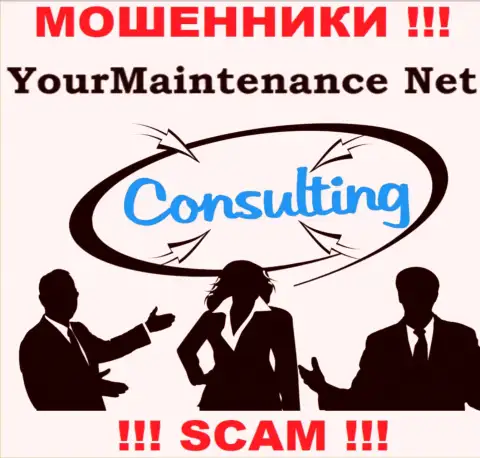 Имея дело с YourMaintenance Net, область деятельности которых Консалтинг, рискуете остаться без своих вложенных денег