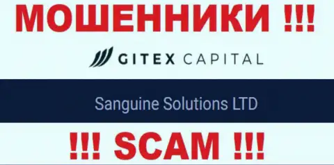 Юридическое лицо Гитекс Капитал - это Sanguine Solutions LTD, такую информацию предоставили ворюги на своем веб-ресурсе