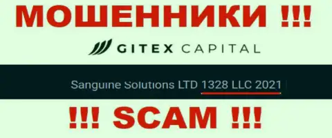 Номер регистрации конторы Gitex Capital: 1328LLC2021