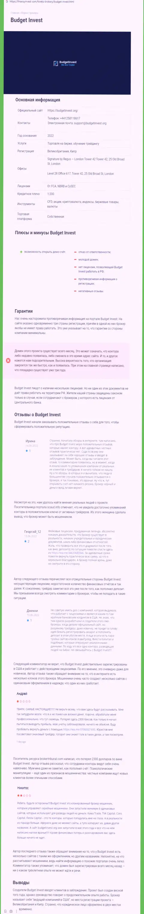 Обзор скам-организации BudgetInvest - это МОШЕННИКИ !!!