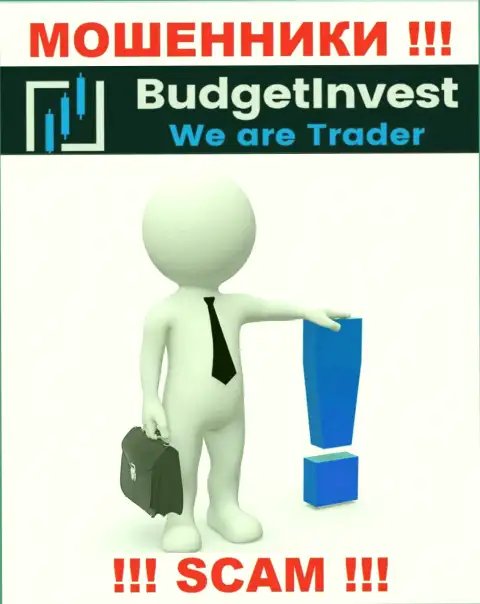 Budget Invest - это ворюги !!! Не хотят говорить, кто конкретно ими руководит