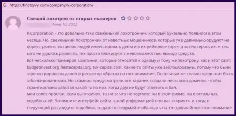 Автор представленного отзыва утверждает, что K-Corporation Cyprus Ltd - это МОШЕННИКИ !!!