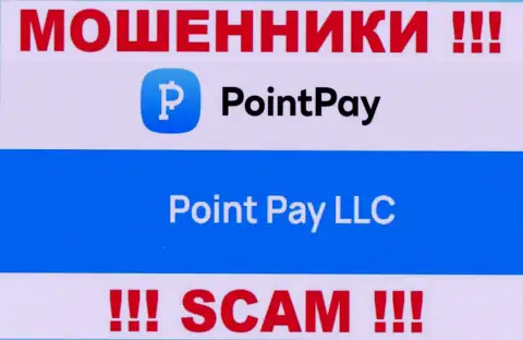 Контора Point Pay находится под управлением компании Поинт Пэй ЛЛК