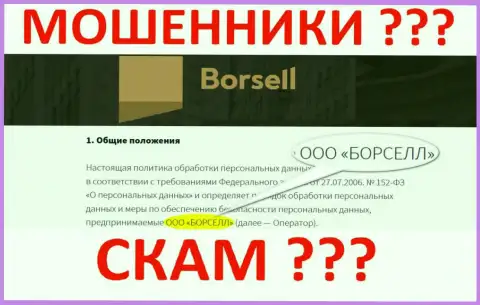 ООО БОРСЕЛЛ - это организация, которая управляет интернет мошенниками Borsell Ru