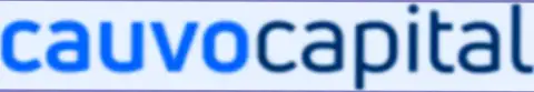 Официальный логотип брокерской компании Кауво Капитал