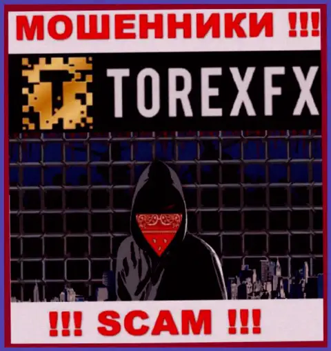 Torex FX скрывают информацию о руководителях конторы