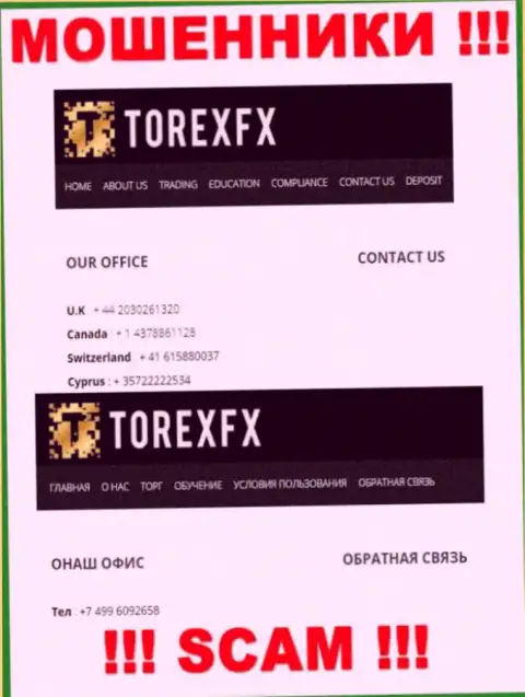 В арсенале у internet ворюг из компании TorexFX 42 Marketing Limited есть не один номер